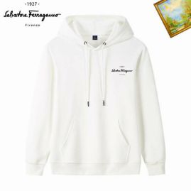 Picture for category Ferragamo Hoodies